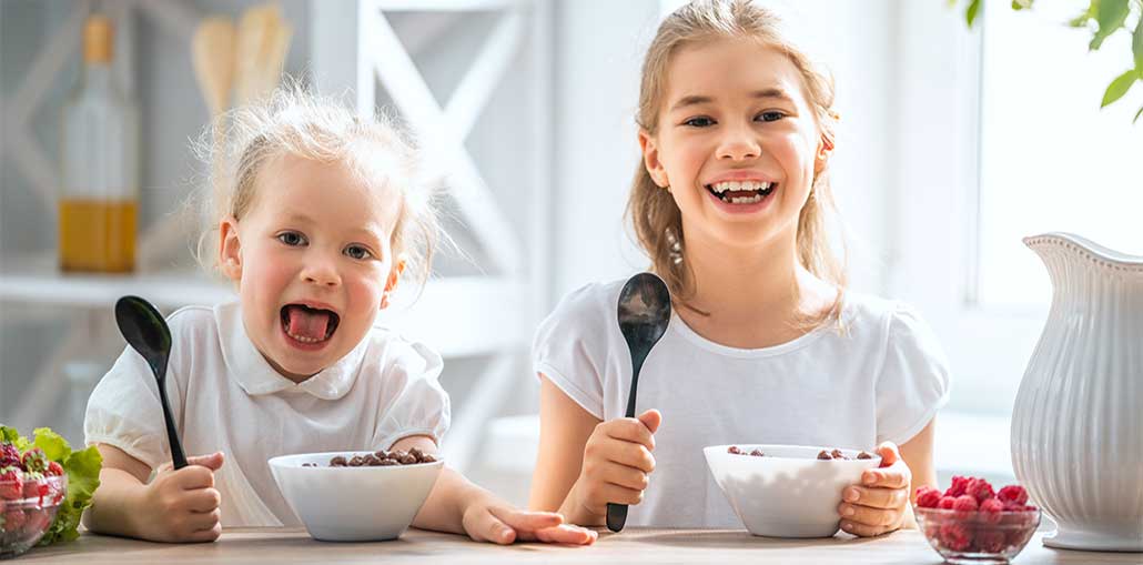 φυτικές ίνες