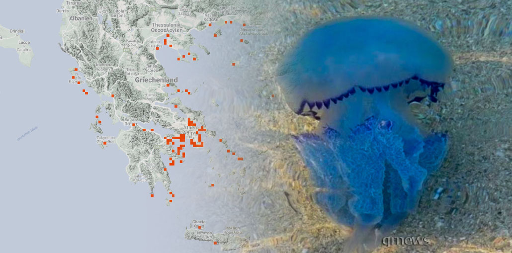 Αποκαλυπτικός χάρτης για τις Μωβ μέδουσες στην Ελλάδα
