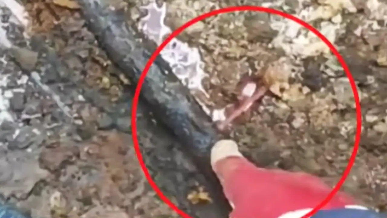 Φονική έκρηξη στη Βιολάντα