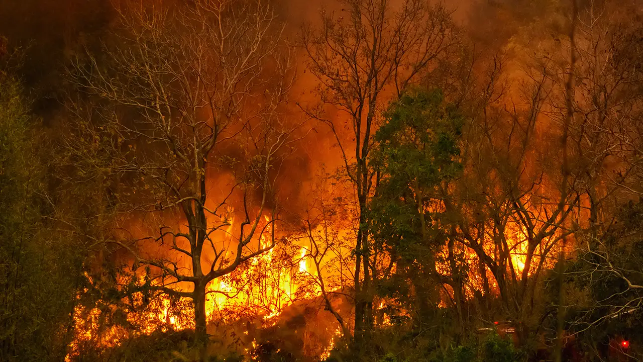 Ακούει κανείς;