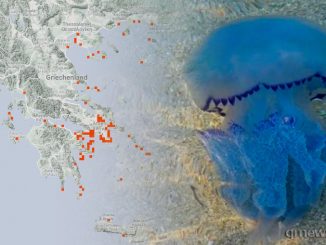 Αποκαλυπτικός χάρτης για τις Μωβ μέδουσες στην Ελλάδα