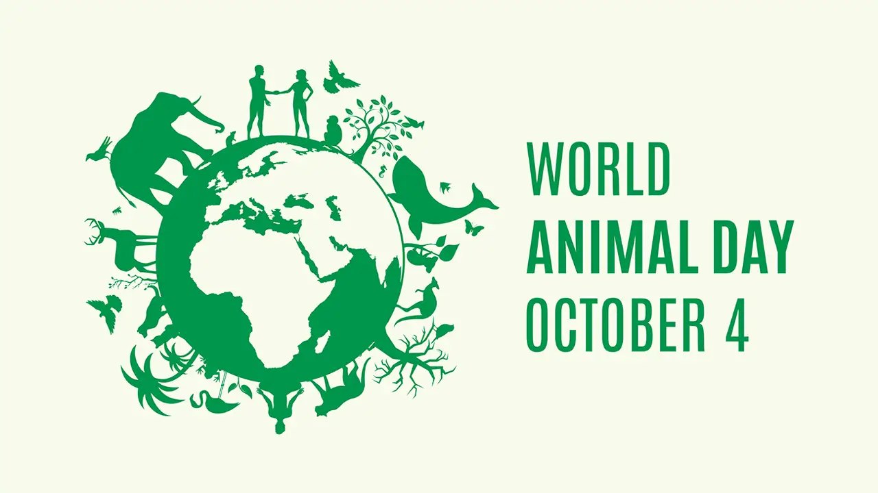 Παγκόσμια Ημέρα των Ζώων