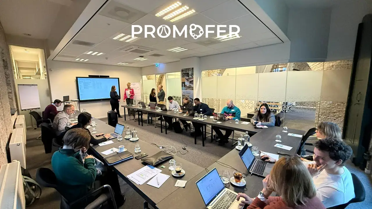 PROMOFER
