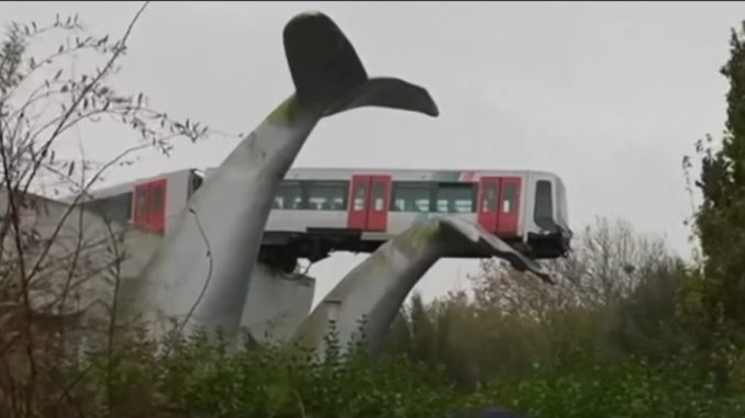 Ρότερνταμ: Συρμός του μετρό «προσγειώθηκε» στην ουρά μιας φάλαινας!