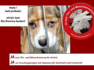 Ελβετία: Δημοψήφισμα για την απαγόρευση των πειραμάτων σε ζώα