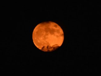 Φεγγάρι του Ελαφιού