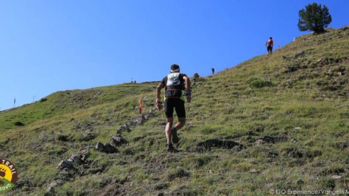 Ανακοίνωση μελέτης Metsovo Ursa Trail - Sports Excellence
